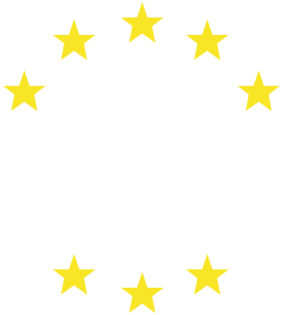 Koszulka Unia Europejska osiem gwiazdek antyPiS
