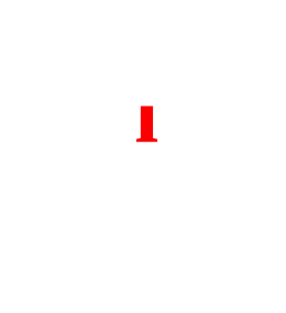 Tarcza antyprezesowa koszulka damska