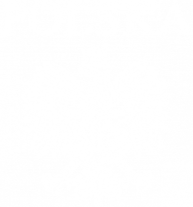 Koszulka Polska z orłem damska