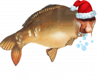 Koszulka Świąteczna - Janusz Karp BUL BUL