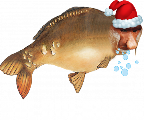 Koszulka Świąteczna - Janusz Karp BUL BUL