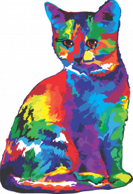 Kolorowy kociak