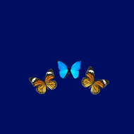 Maseczka Motyle