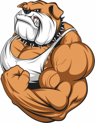 Koszulka Zły Pies STRONGMAN