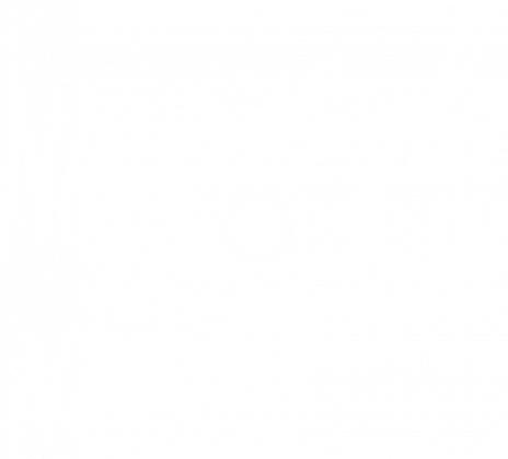 Koszulka Niepodległa i Niezależna koszulki patriotyczne, koszulka narodowca dla patrioty