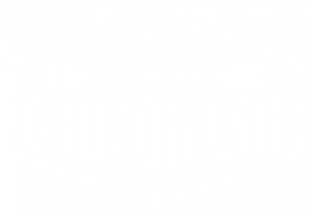 Koszulka męska ciemna - Licencja na grillowanie