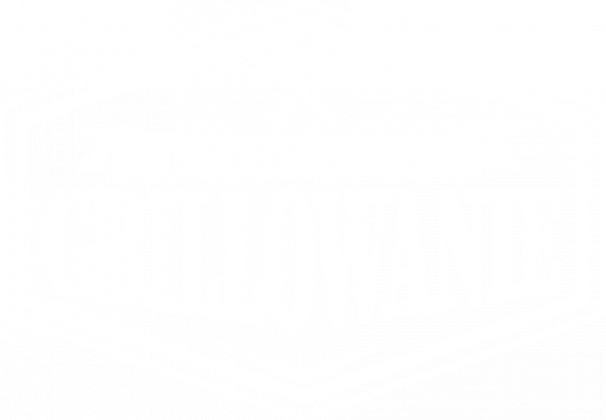 Bluza damska ciemna - Licencja na grillowanie