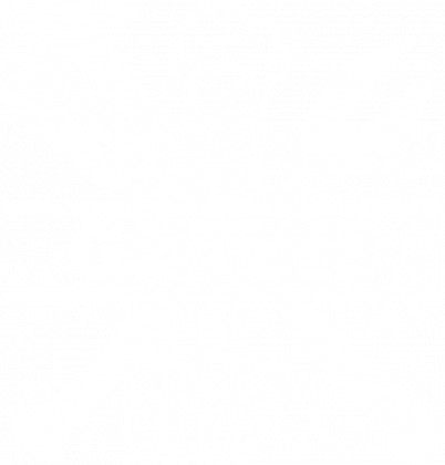 Koszulka damska ciemna - Dziś gotuję ja