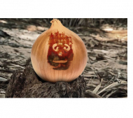 Cebula Przetrwania 2