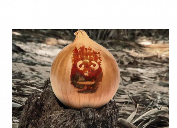 Cebula Przetrwania