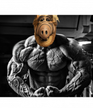 ALF BEAST