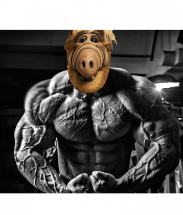ALF BEAST