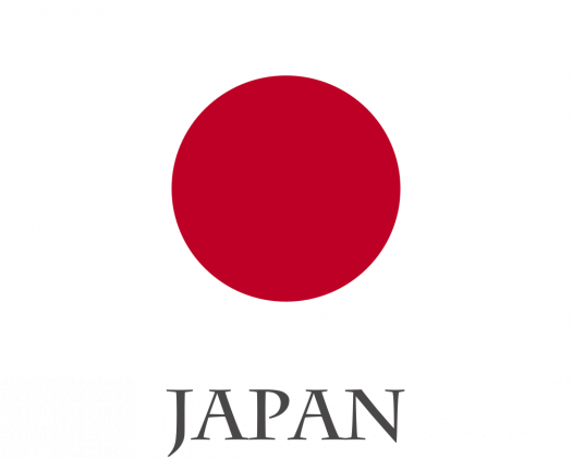 Koszulka z flagą Japonii.