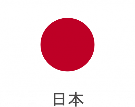 Koszulka z flagą Japonii.