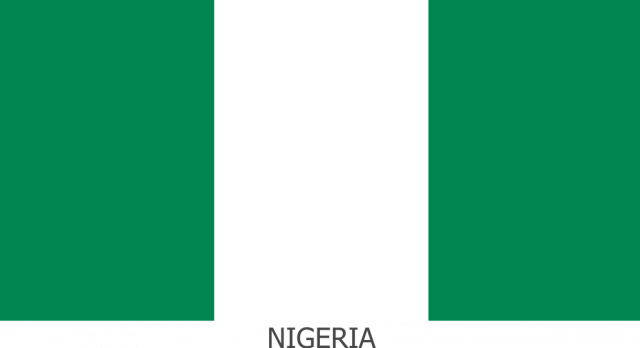 Koszulka z flagą Nigerii.