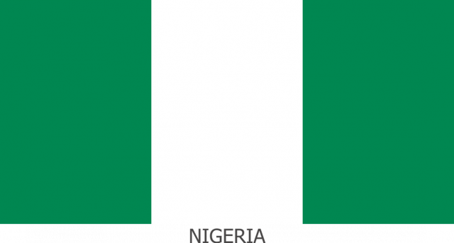 Koszulka z flagą Nigerii.