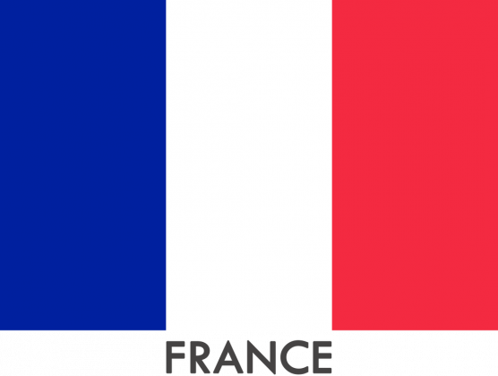 Koszulka z flagą Francji.