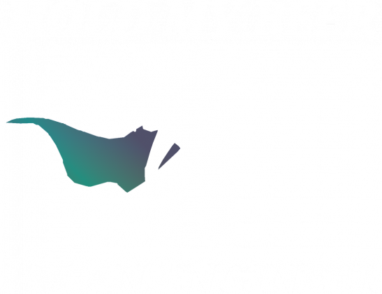 Hold my beer, I'm an engineer