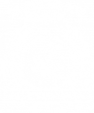 KOSZULKA DAMSKA HOTEL WZÓR 2B