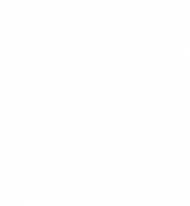 KOSZULKA DAMSKA WOJEWODA WZÓR 2B