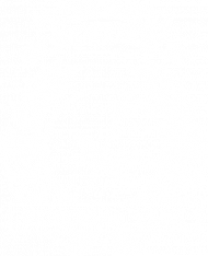 KOSZULKA DAMSKA MATKA WZÓR 2B