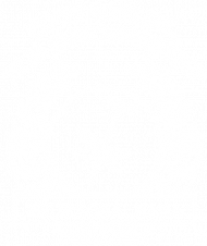 KOSZULKA DAMSKA PIENIĄDZE WZÓR 2B