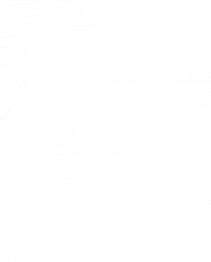 KOSZULKA DAMSKA MYCIE WZÓR 2B