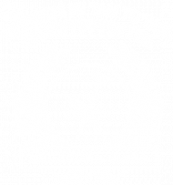 KOSZULKA DAMSKA PRZYNIEŚ WZÓR 2B