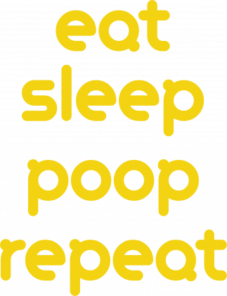 Eat Sleep Poop Repeat
