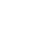 Zębatka ASEnduro nadruk biały tył
