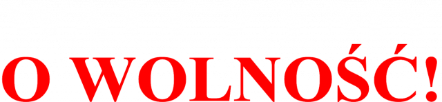 Koszulka - Walczymy O Wolność - T-Shirt Multicolor