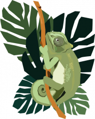 chameleon.monstera