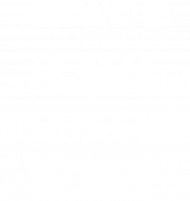 Husband is honey (bluzka damska) jg