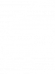 BMW F30 front (bluza męska kaptur) jg
