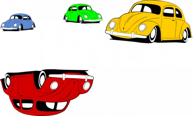 The Beetles (bluzka damska) jasna grafika