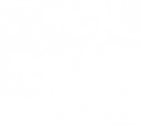 FFF - Fuck Fake Friends (bokserka damska) jasna grafika