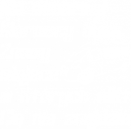 Nie denerwuj kierowcy busa (koszulka męska) jasna grafika