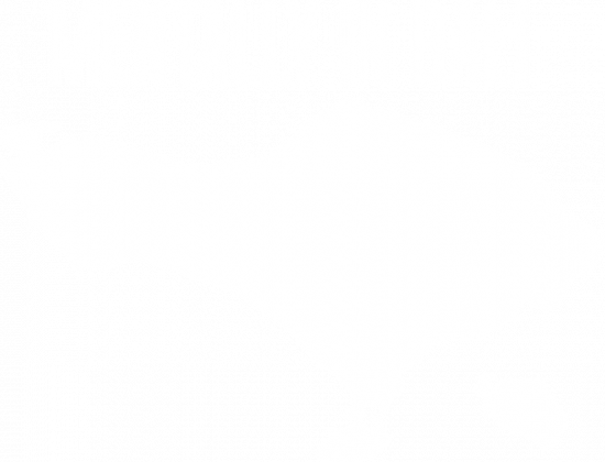Mentally in Bali V2 (bluzka damska) jg