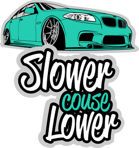 Slower couse Lower - BMW F10 (kubek)