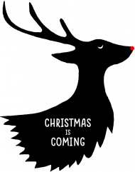 Christmas is coming - damska bluza świąteczna