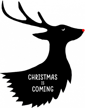 Christmas is coming - damska koszulka świąteczna