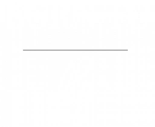 Koszulka męska kolor, Born to fly