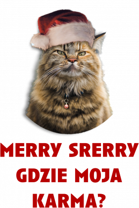 kot, grumpy cat, święta, prezent, merry srerry