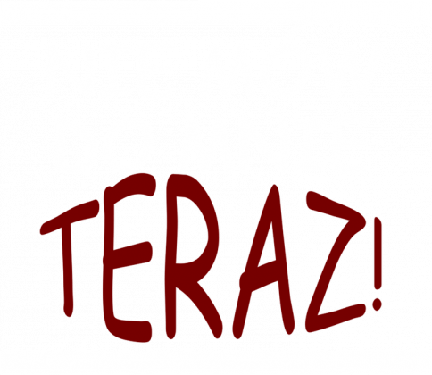 Bluza męska ''Nie mów do mnie teraz''