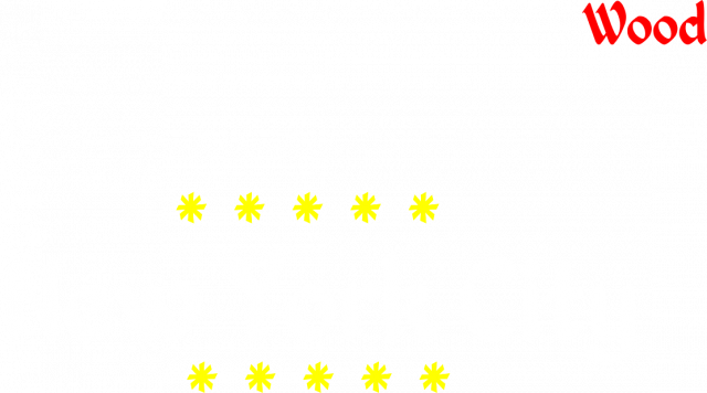 T-Shirt "Star New York City"