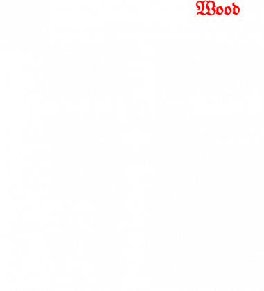 Pisakowy T-Shirt by Wood for Kids