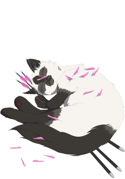 Archery Cats