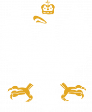 Bluza - Orzeł