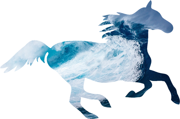 Sea horse - dziecięca biała