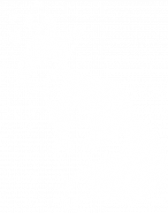 Liskowa koszulka (biały nadruk)